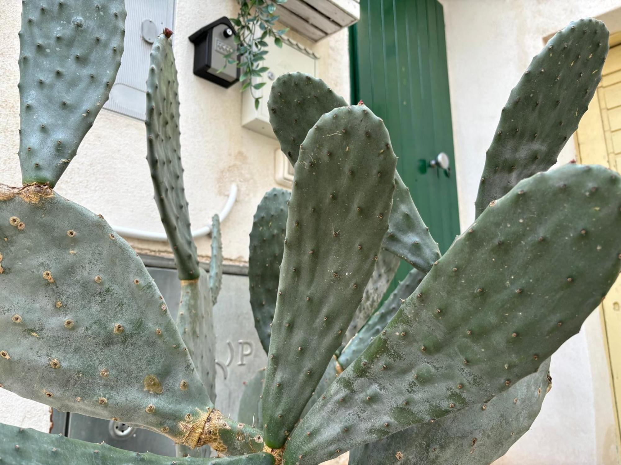 Casa Ostuni Mono Lovely Exteriör bild
